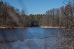 DSC_1133a