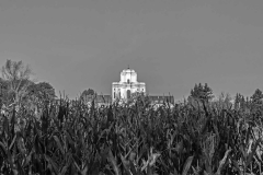 DSC_8873Ab