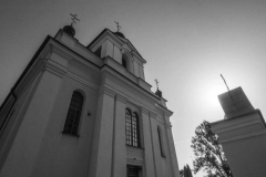 DSC_8972a