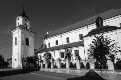 DSC_8980aa2
